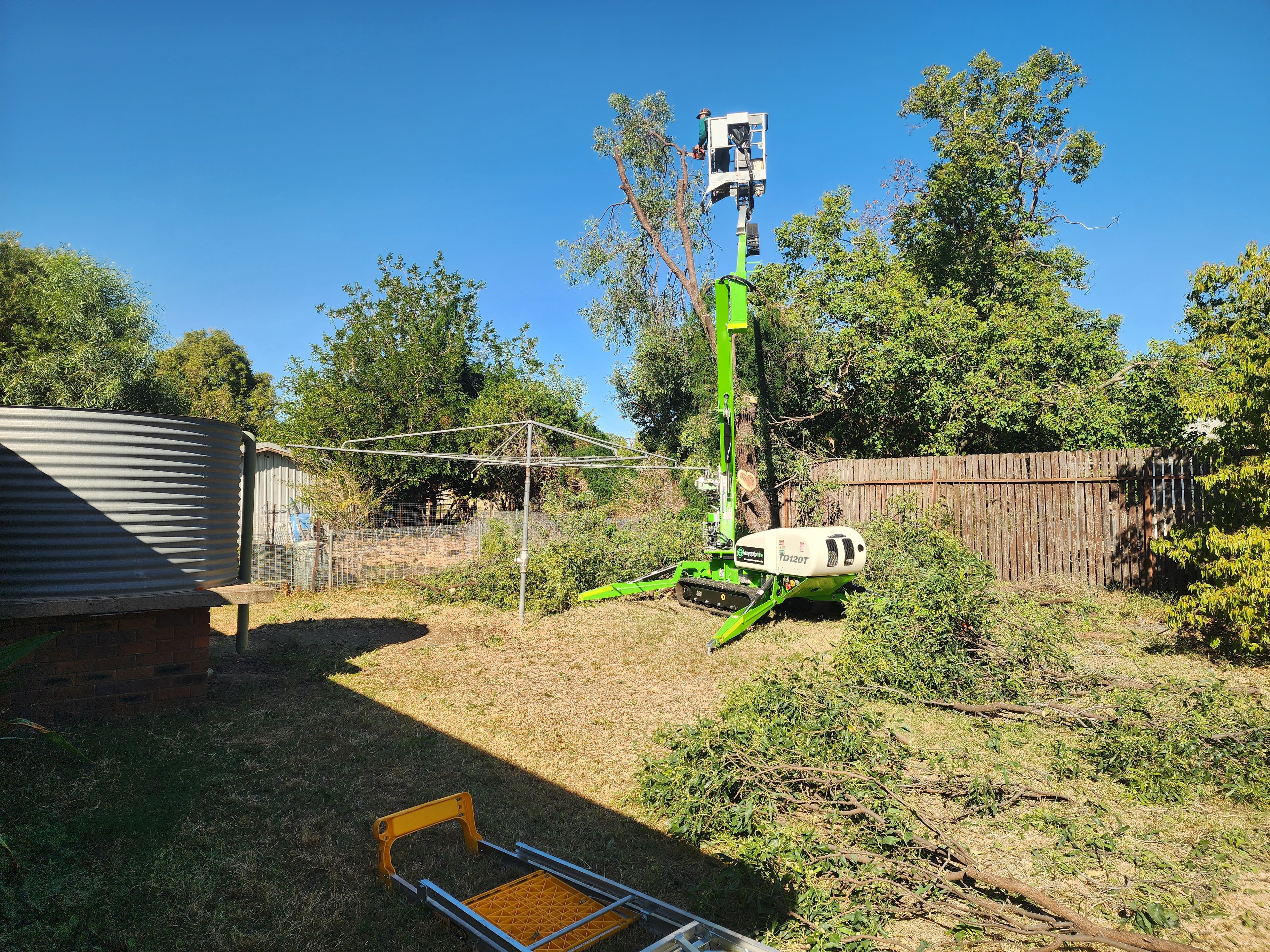 Tree Work — Cherry Picker