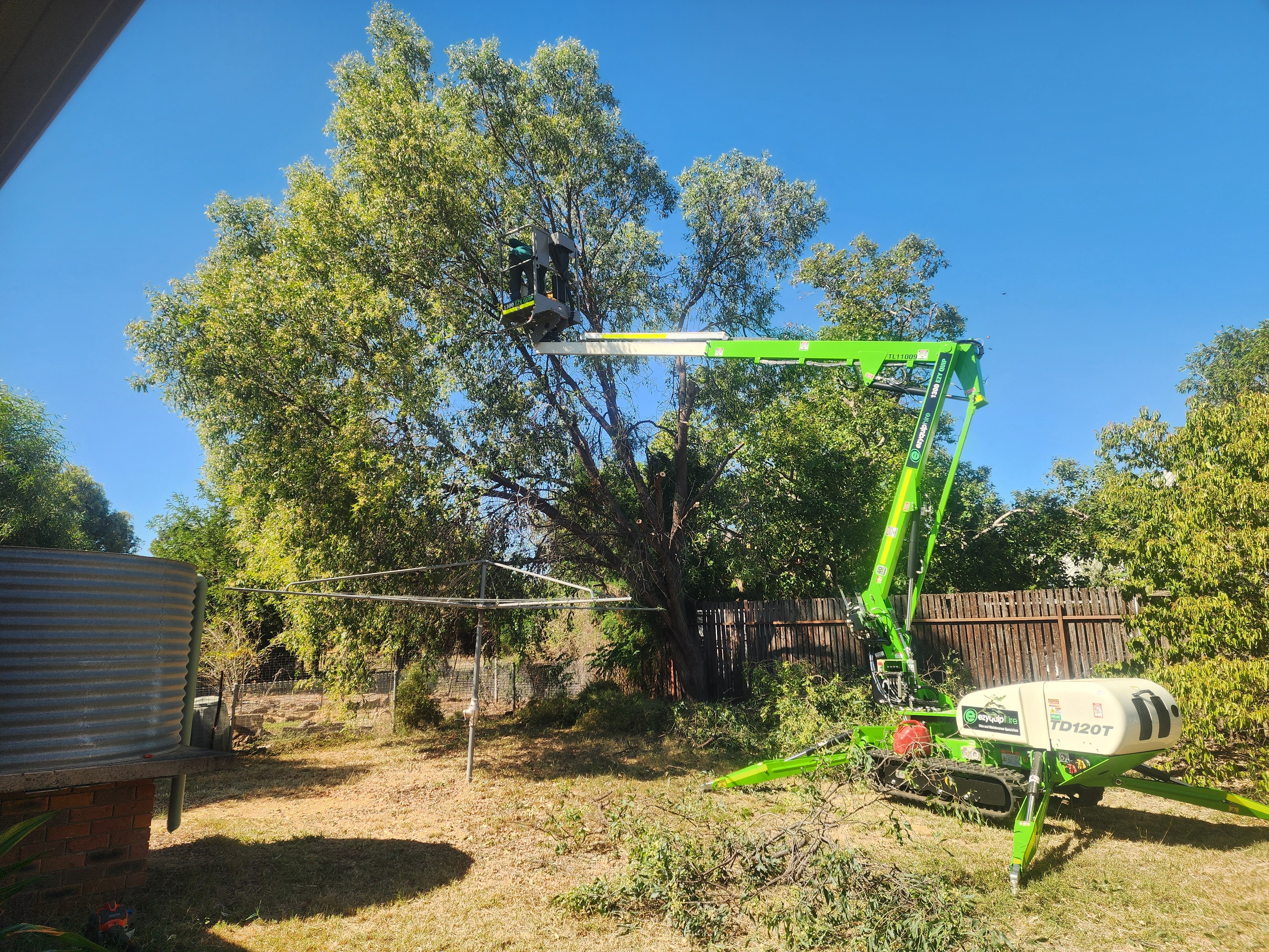 Tall Tree Pruning