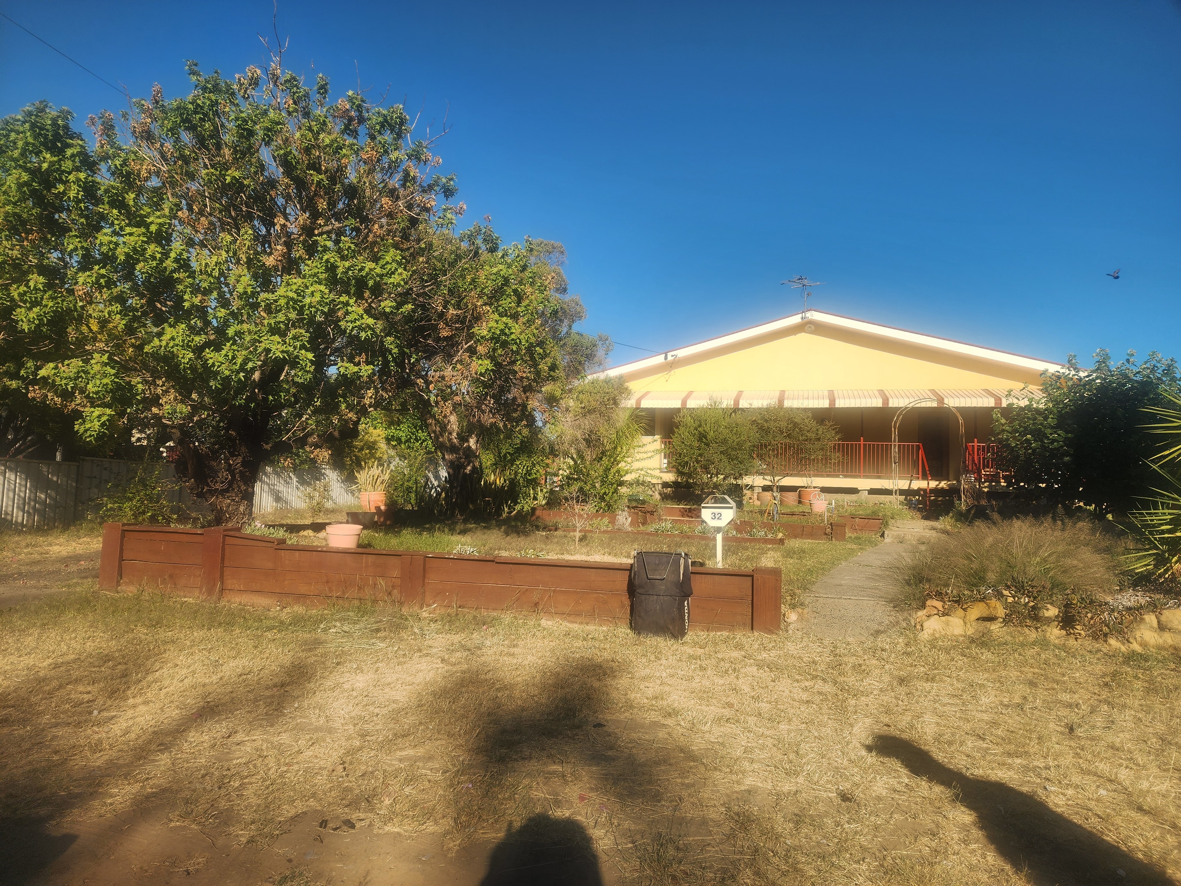 Yard Clean-Up — Residential