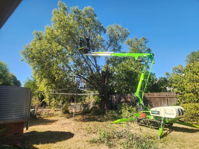 Tree Pruning — Cherry Picker
