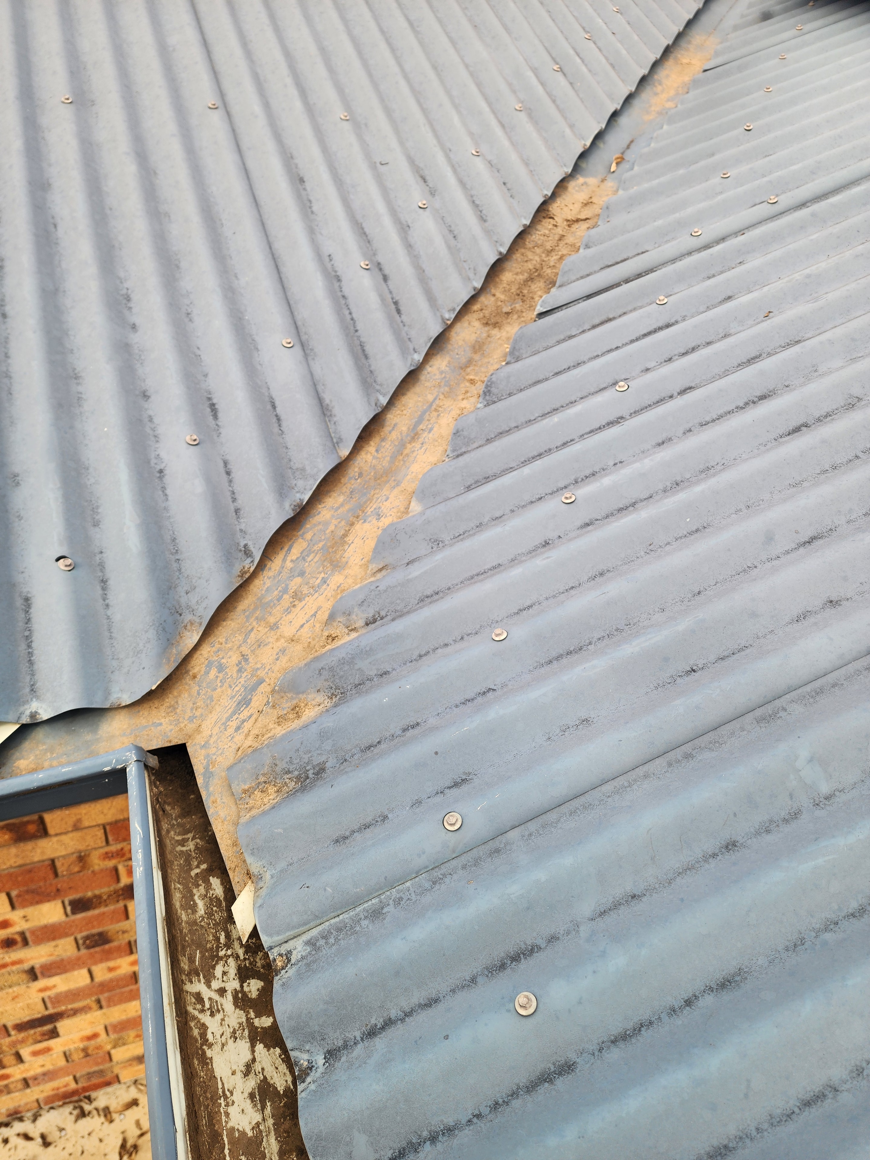Gutter Clean — Corrugated Roof