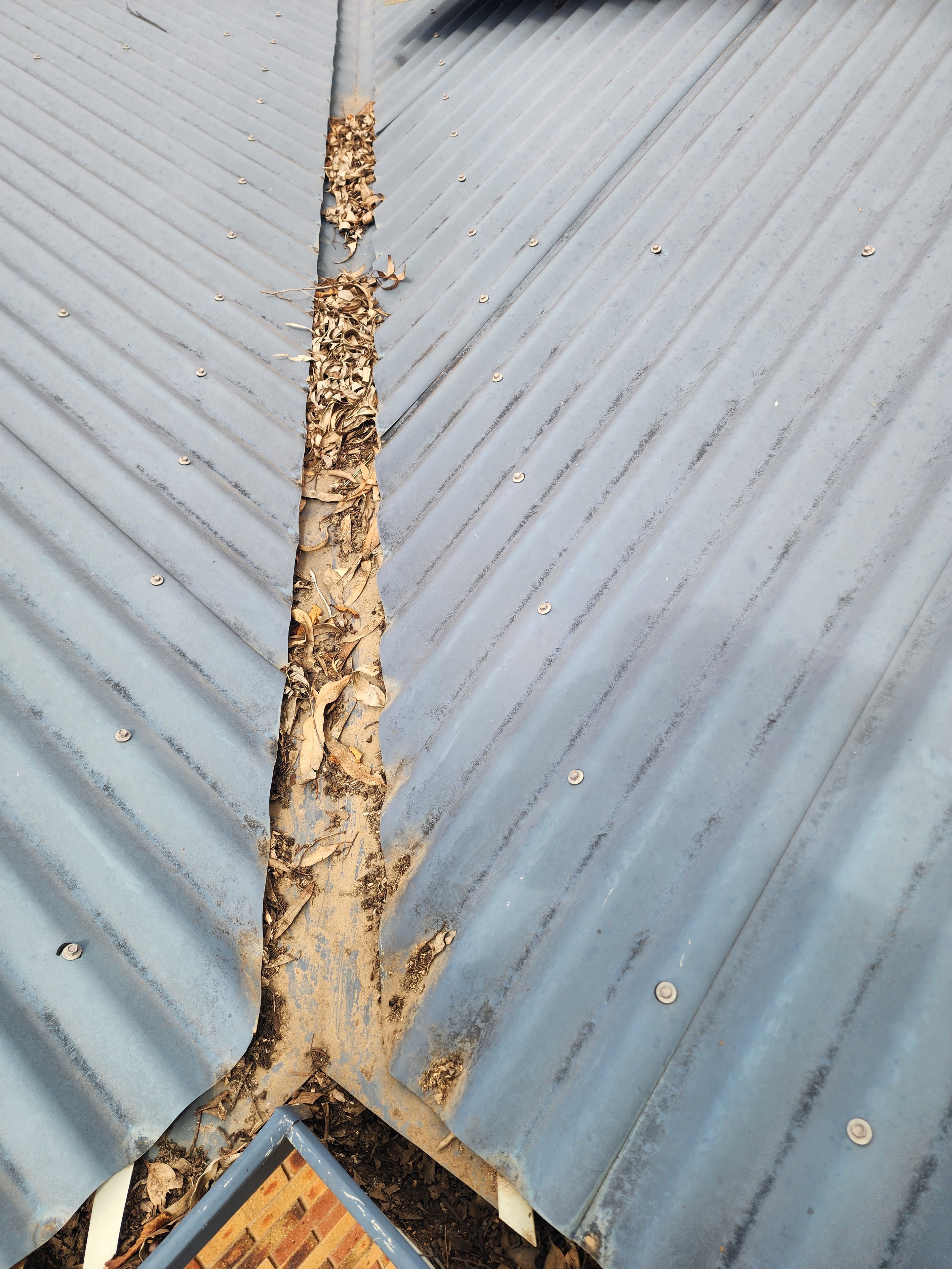 Roof & Gutter Inspection