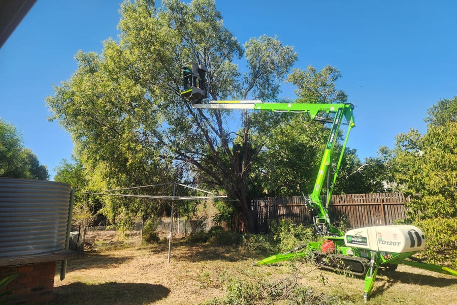 Tree pruning and shrub cutting in a residential garden