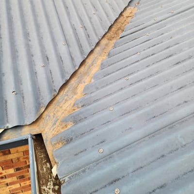 Gutter cleaning and downpipe clearing service